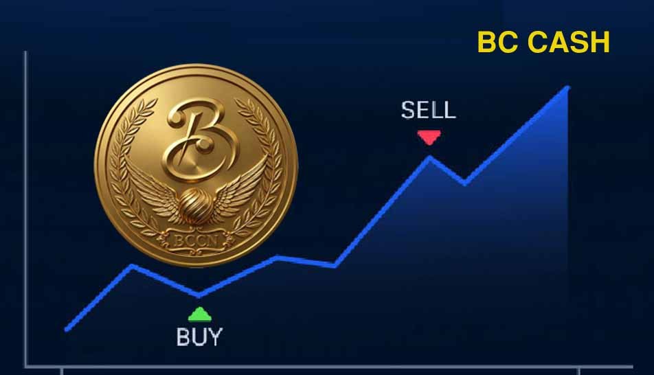 Bright Carreer Technology Pvt. Ltd.